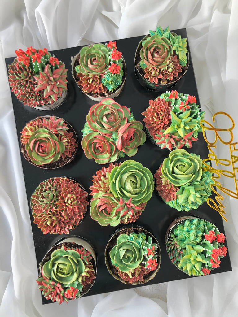 Happy Succulents 12 pcs Cupcake Box