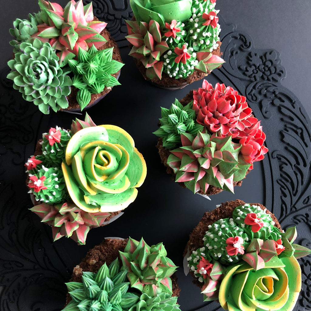 Happy Succulents 6 pcs Box