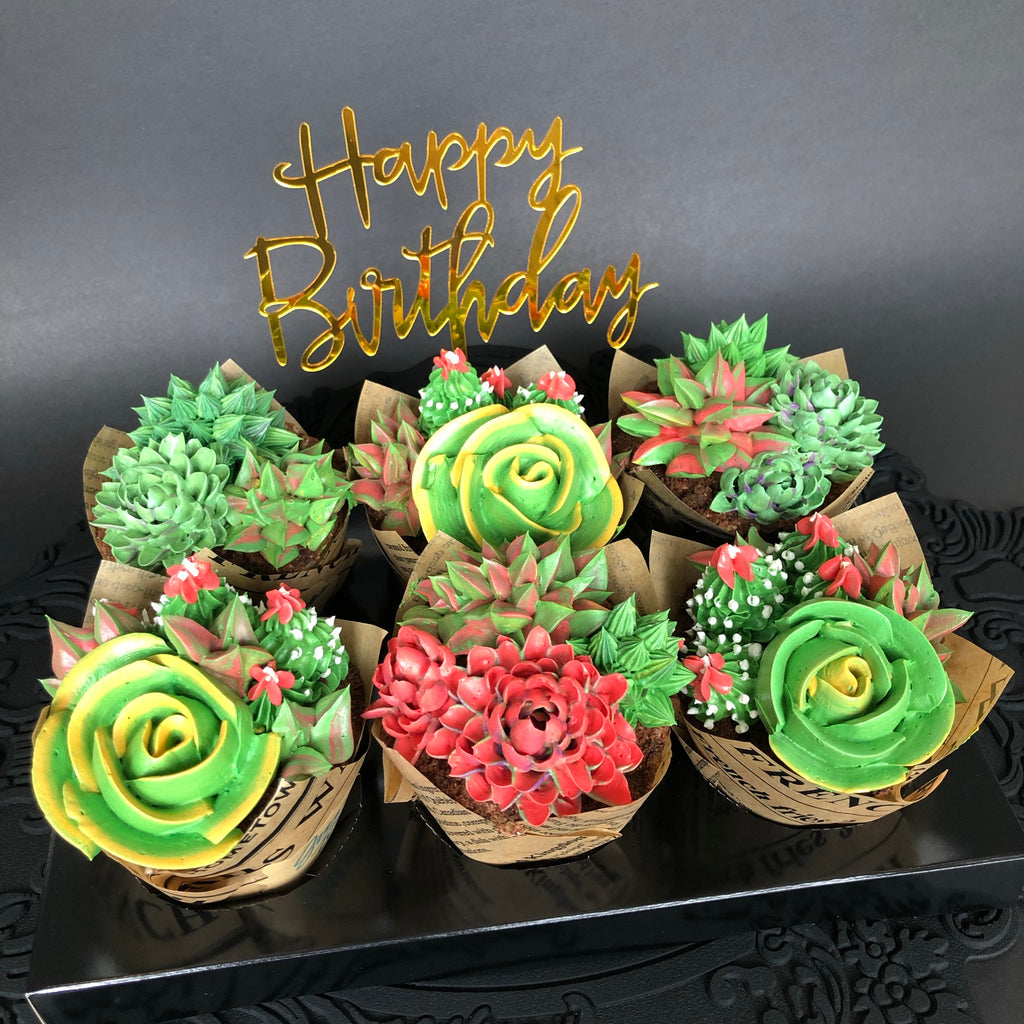 Happy Succulents 6 pcs Box