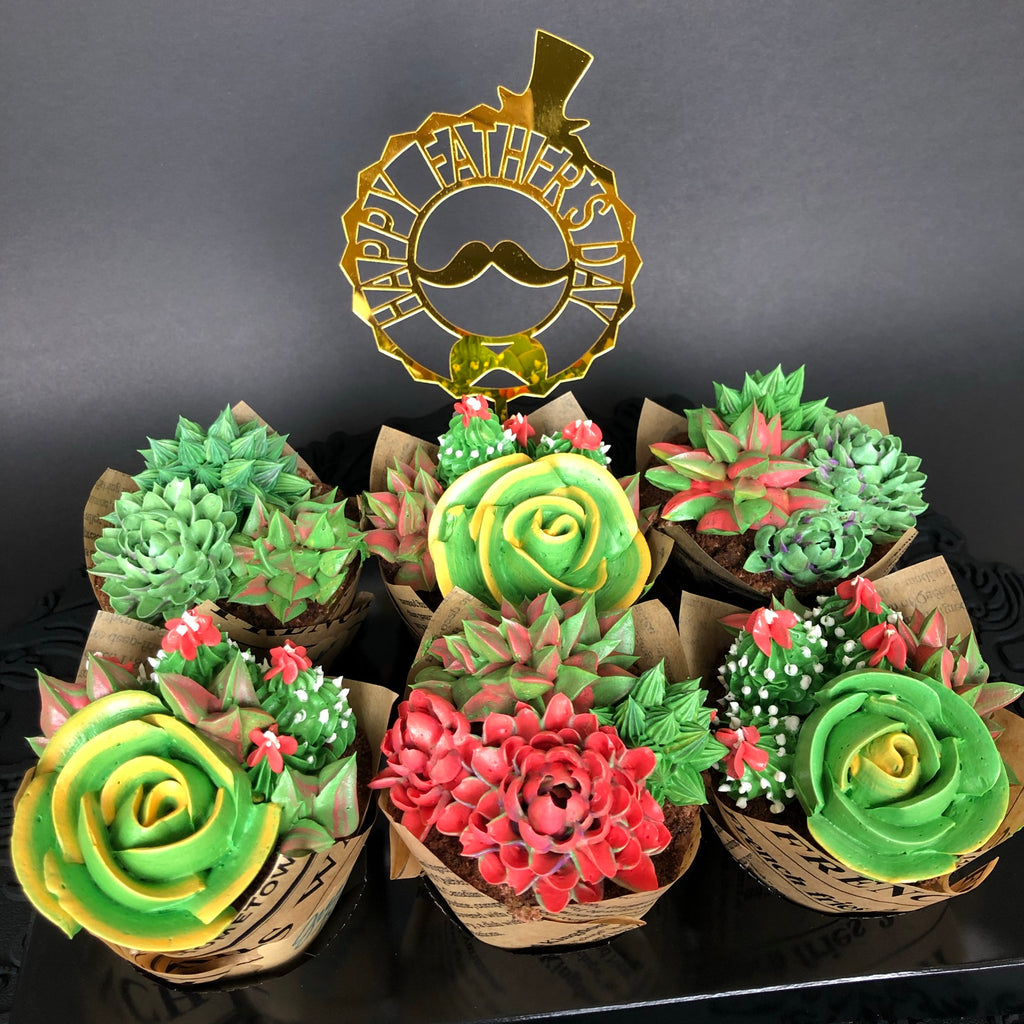 Happy Succulents 6 pcs Box