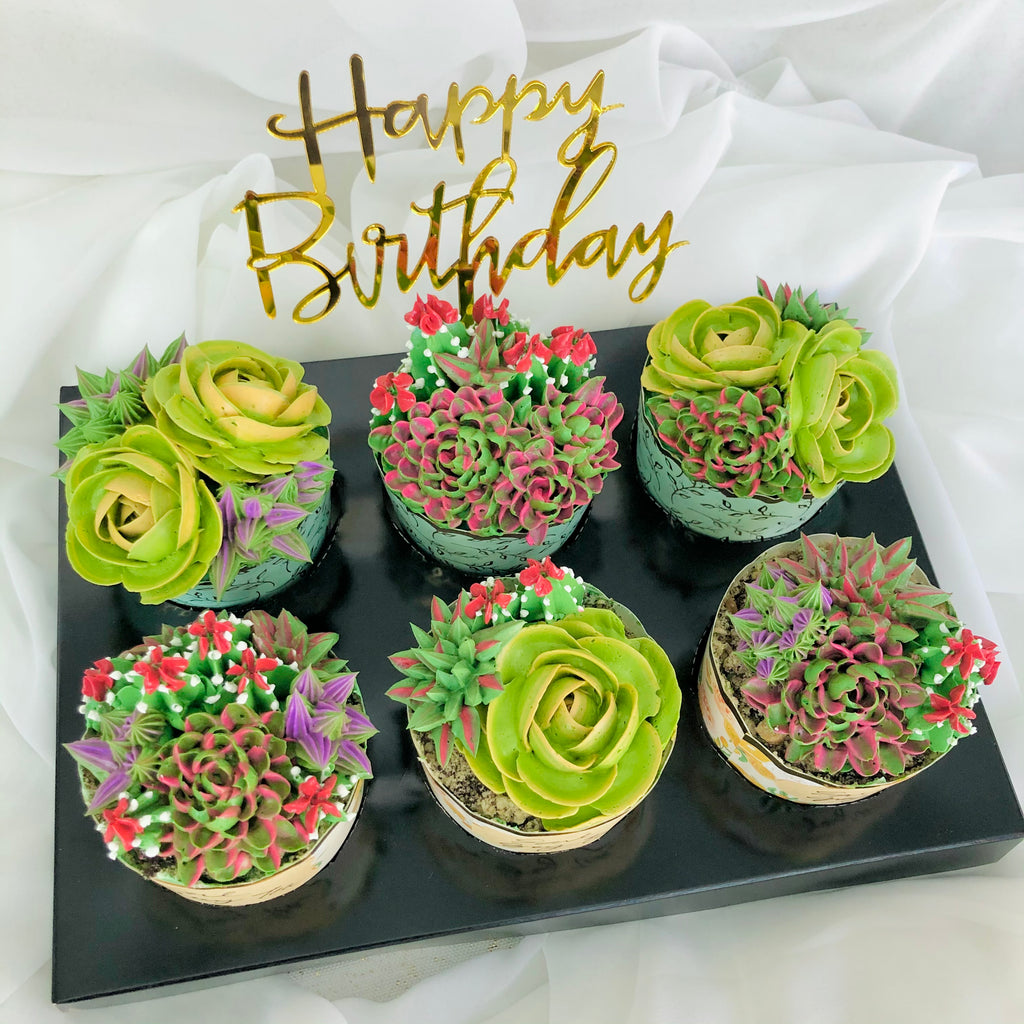 Happy Succulents 6 pcs Box